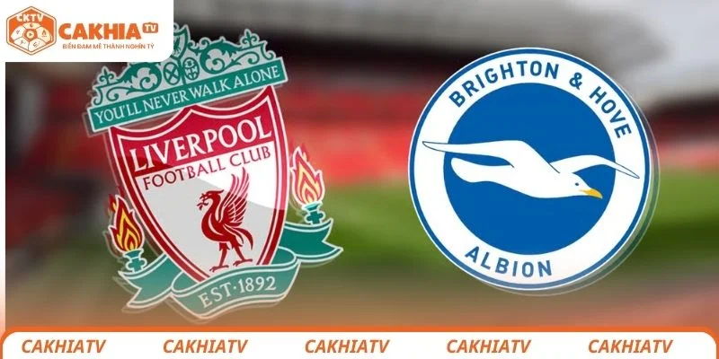 Liverpool vs Brighton